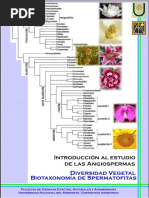 Identificación y Características e Importancia Generales de La División ...