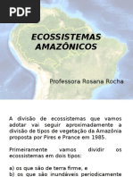 Ecossistemas amazônicos