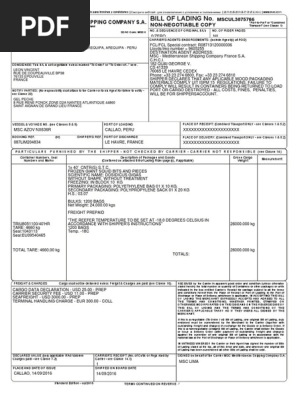 Ejemplo de Bill of  Lading