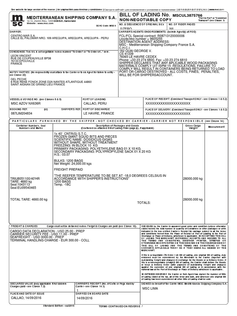 Ejemplo De Bill Of Lading Pdf Bill Of Lading Cargo