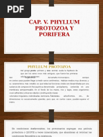 Cap.v. Phyllum Protozoa y Porifera