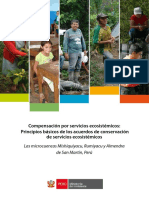 CSE Principios Basicos Final PDF