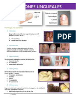 Alteraciones Ungueales