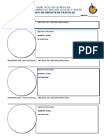 Formato de Reporte de Practicas