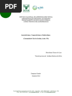 Modelo-De-relatório