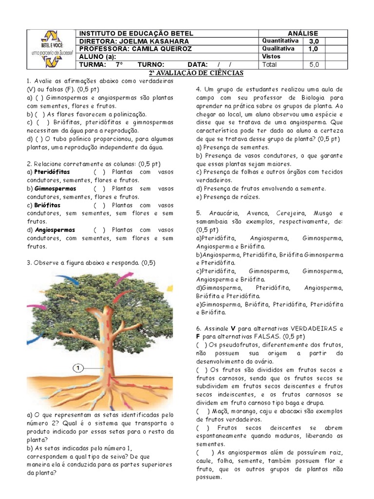 Prova Plantas 7 Ano | PDF | Fruta | Flores