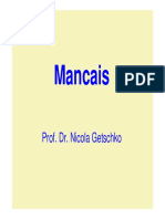 05 - P2 - Mancais