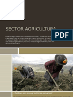 Sector Agricultura