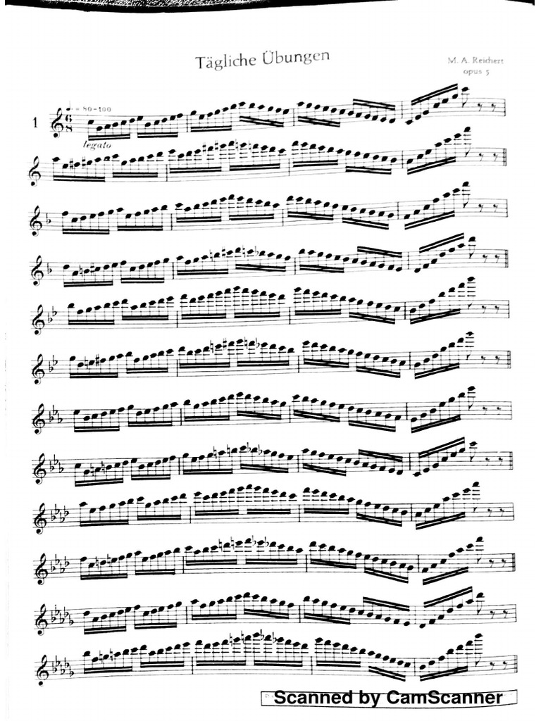 Flute Studies PDF