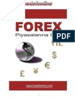 FOREX PİYASALARINA GIRIS.pdf