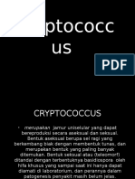 Crypto Coccus