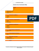 Estructura de Un Currículum Vitae PDF