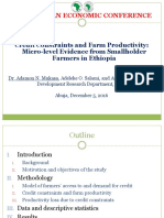 Adamon Et Al-[PRESENTATION]-Credit Constraints and Farm Productivity [2016 African Economic Conference]-Final