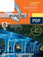 zuncho-7.pdf