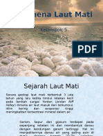 Laut Mati