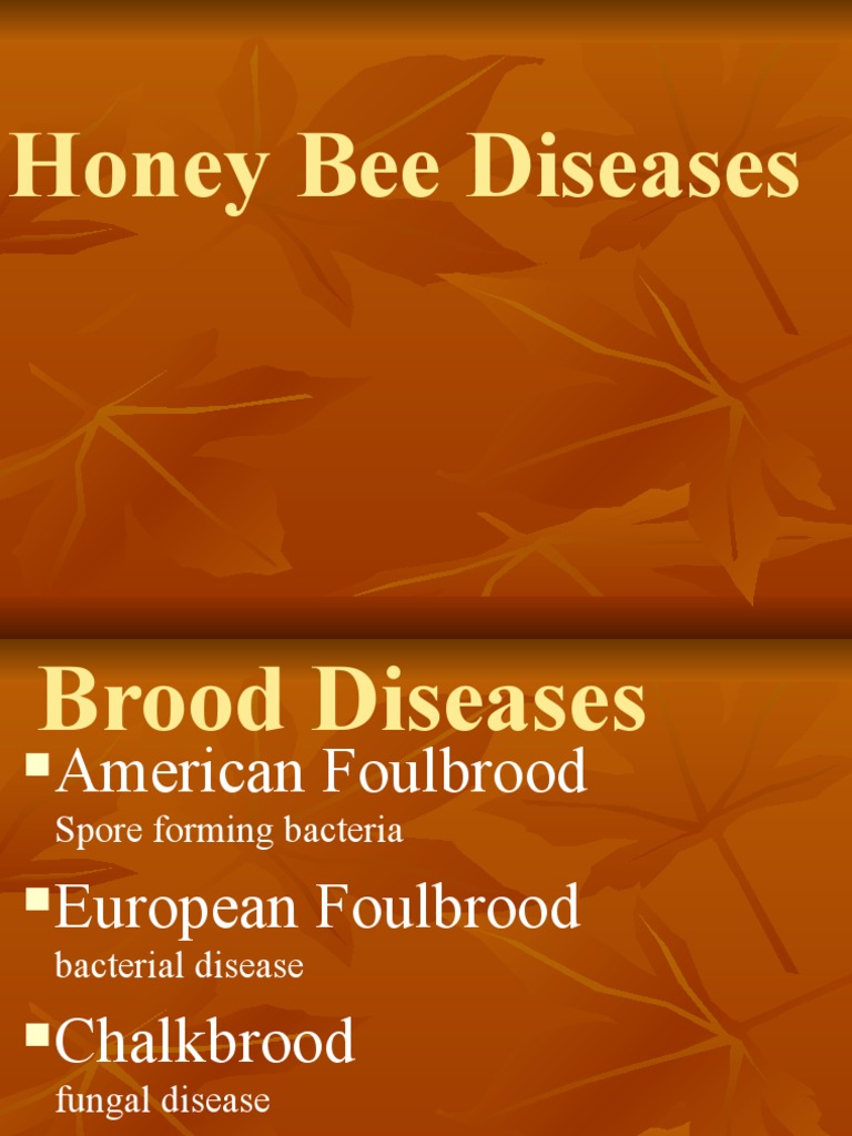 Comprehensive Guide to Honey Bee Diseases | PDF