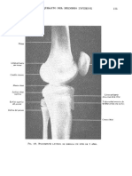 Tratado de Anatomia Humana Quiroz Tomo I - 185