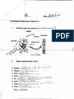 Terminologia Del Sistema Nervioso