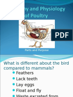 Poultry Anatomy and Physiology