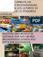 Biodiversidad 