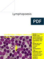 Lymphopoesis 1