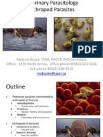 Veterinary Parasitology Arthropod 2 Ticks 2015