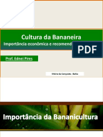 cultivo de bananeiras.pdf