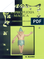 Origami - Papiroflexia magica.pdf