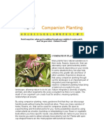 Companion-Planting.pdf