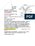 How Do Antibodies Work