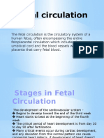 Fetal Circulation and Renal2