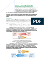 Resumo-  Integração Metabólica 2.pdf