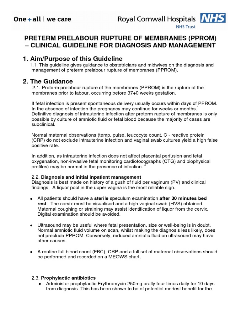 PPROM Management Guidelines for Clinicians | PDF | Preterm Birth ...