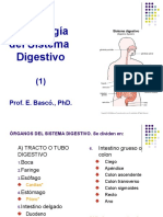 Morfofisiología Del Aparato Digestivo