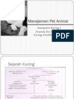 Man Pet Kucing 1