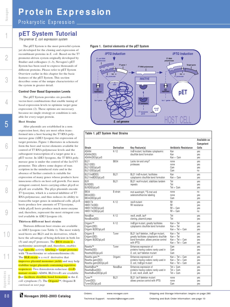 PET System Tutorial PDF Gene Expression Plasmid