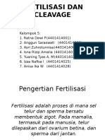 Kelompok 2 Fertilisasi & Cleavage