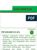 Reseptor Dan Efektor