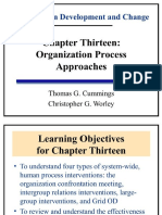 Organization Development and Change. PPT PDF(10)