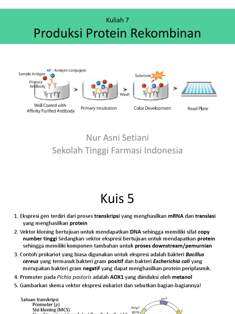 Produksi dan Pemurnian Protein Rekombinan | PDF