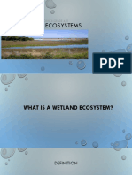 Wetland Ecosystems: Science Grade 4/5