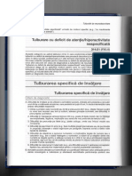 Tulburari Specifice de Invatare DSM V PDF