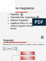 fenomene_magnetice