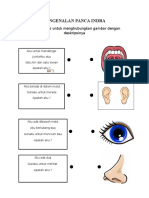 Pengenalan Panca Indra