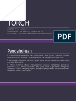 Torch Rsud Ciawi