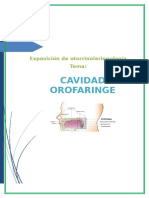 Anatomía y fisiología de la cavidad oral y orofaringe