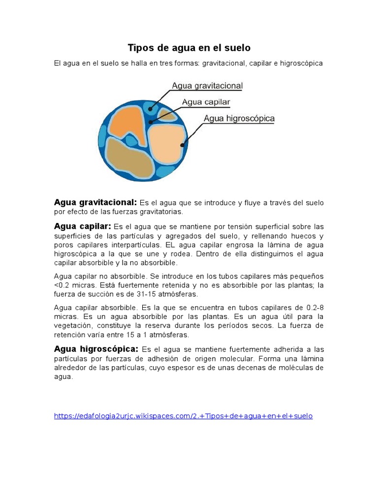 El Agua en El Suelo | PDF | Suelo | Agua