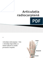 Articulația Radio Carpiană