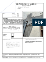 Ficha de Identificacion de Lesiones 2016 i