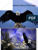 True Motivational Story of An Eagle